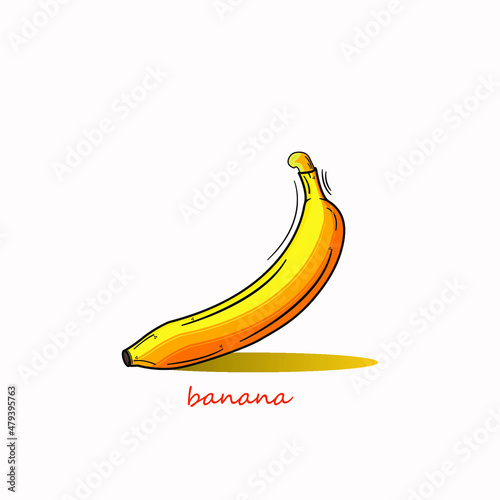 Banana vector, banana isolated on white background.Fruit illustration