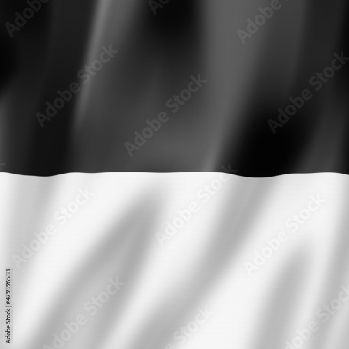 Fribourg canton - State - flag, Switzerland