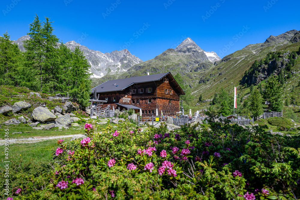 View from Debanttal towards Lienzer Huette and the Gloedis summit, summer alpine landscape in East Tyrol, Tyrol, Austria, Europe View from Debanttal towards Lienzer Huette and the Gloedis summit, summer alpine landscape in East Tyrol, Tyrol, Austria, Europe
