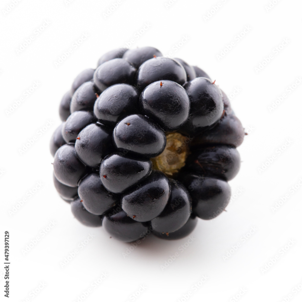 Blackberry isolated on white background close up.