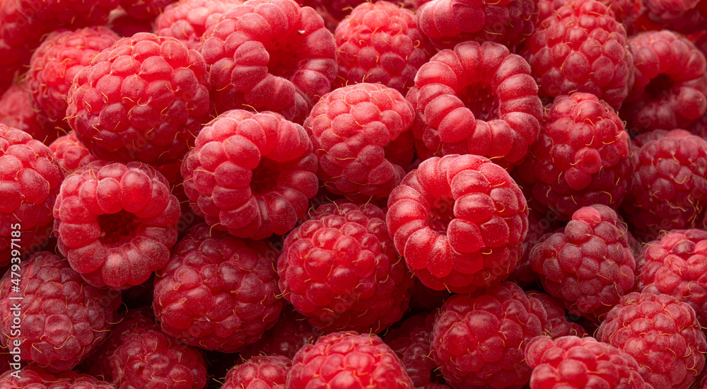 Fresh ripe raspberries as background. Top view. Raspberry texture close up. Fresh ripe raspberries as background. Top view. Raspberry texture close up.