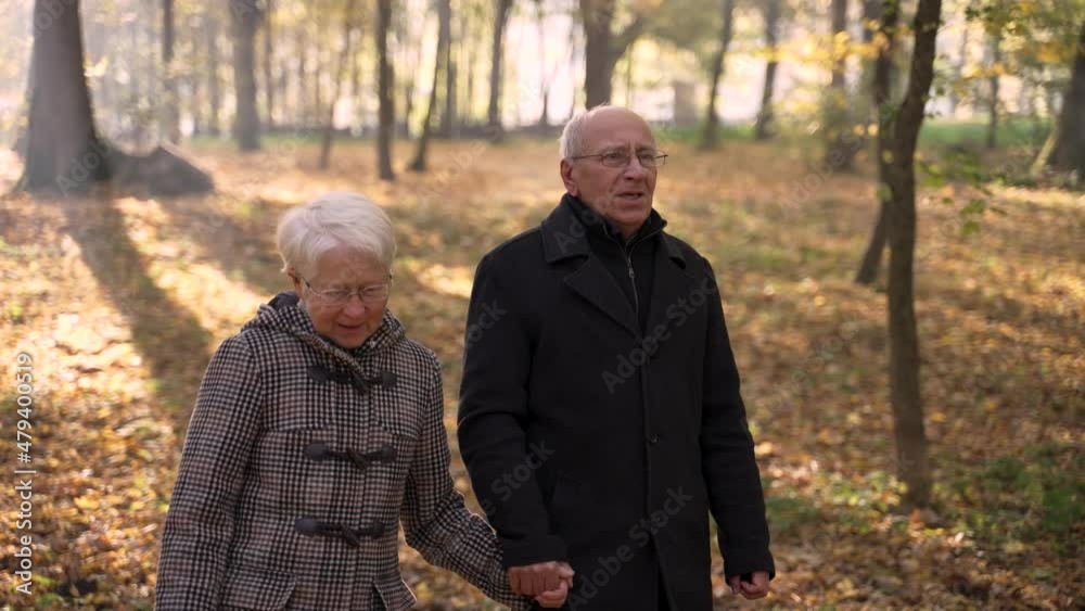 Cheerful elderly gray-haired woman and man walking hand in hand and talking while spending leisure time in autumn park. Healthy old pair enjoying outdoor activity together on sunny autumn day Cheerful elderly gray-haired woman and man walking hand in hand and talking while spending leisure time in autumn park. Healthy old pair enjoying outdoor activity together on sunny autumn day