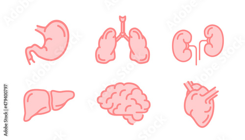 Set of human internal organs like brain, kidneys, lungs, liver, heart and stomach, simple pink medical icons isolated on white