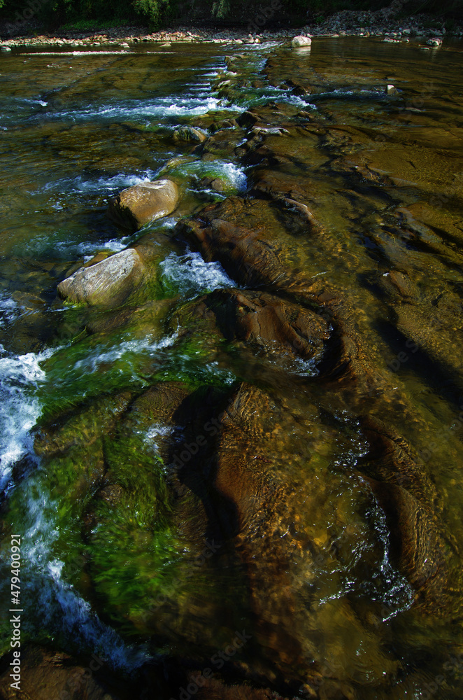 Obraz premium Landscape with a riverain bank, on a sunny day in summer