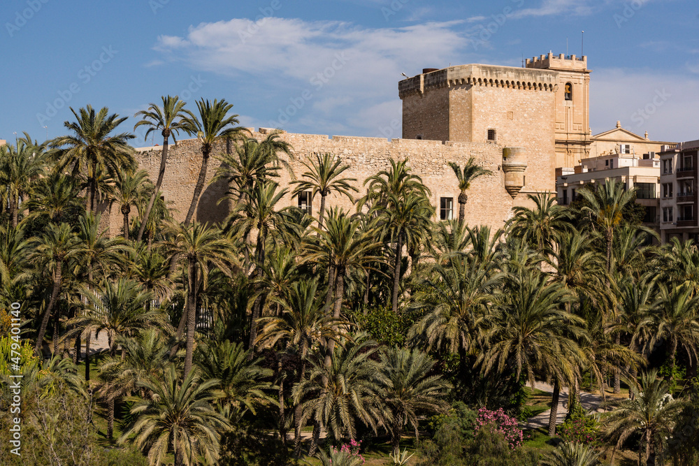 Palacio de Altamira y basílica de Santa Maria,  Palmeral de Elche, Patrimonio de la Humanidad por la Unesco, comunidad Valenciana, Spain
