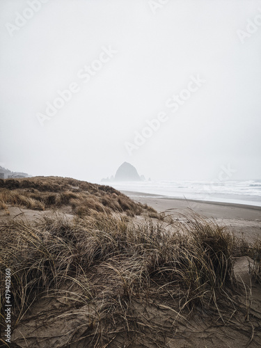 Winter storm at Haystack Rock