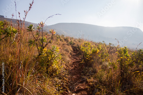 path in the mountains