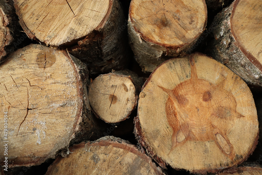 Closeup of pile of sawn wooden logs from the forest Closeup of pile of sawn wooden logs from the forest