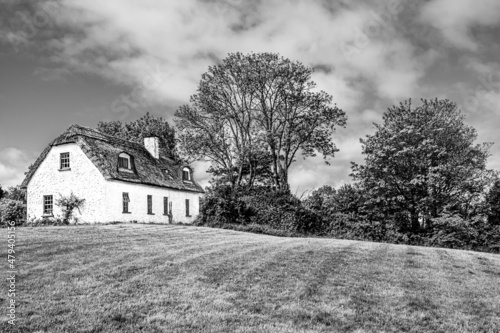 Fototapeta Naklejka Na Ścianę i Meble -  Landscape of a traditional Irish cottage country house with thatch roof next to green trees