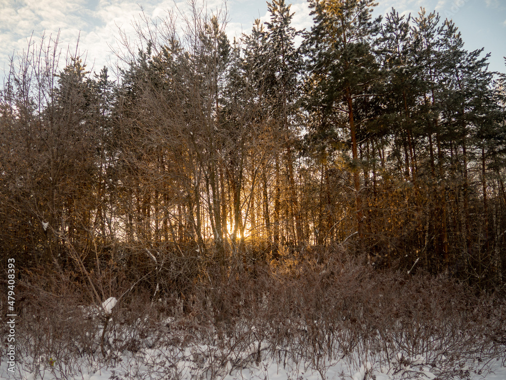 Beautiful winter landscape. The enjoyment of solitude.