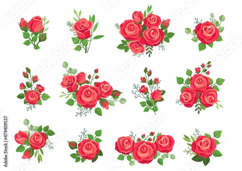 Red roses bouquets. Rose collection, bouquet with flowers and green branches. Wedding decor, isolated floral compositions for cards and invitation, vector set