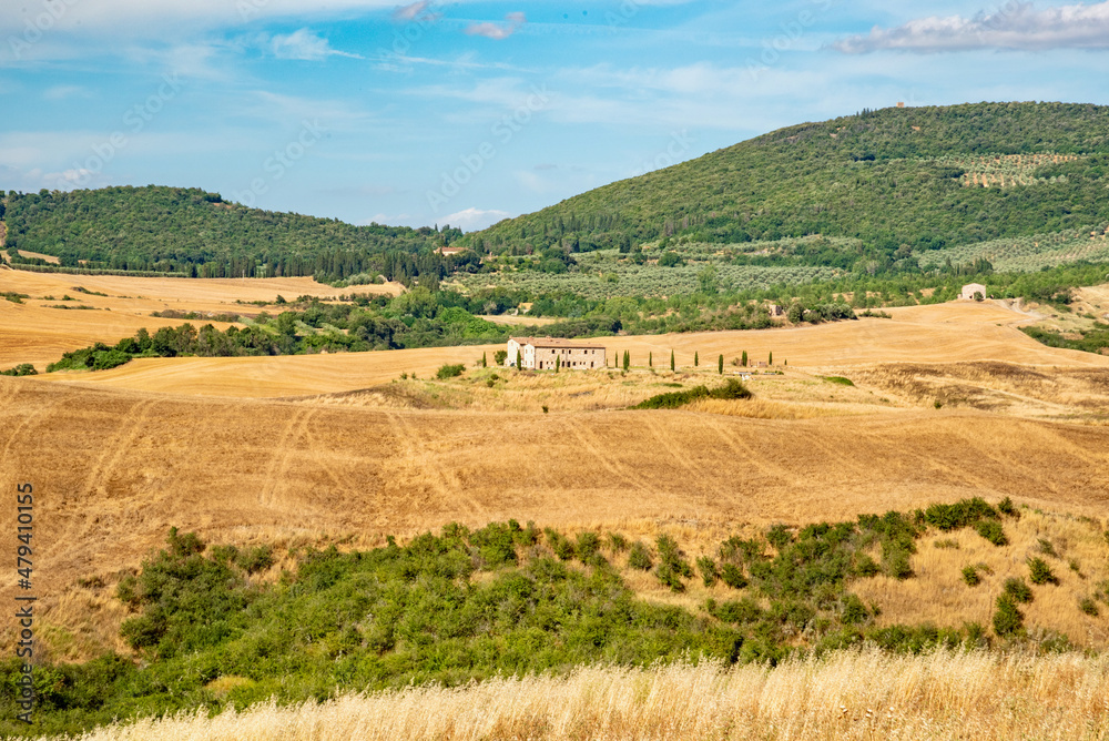 wheat fields in summer in Tuscany