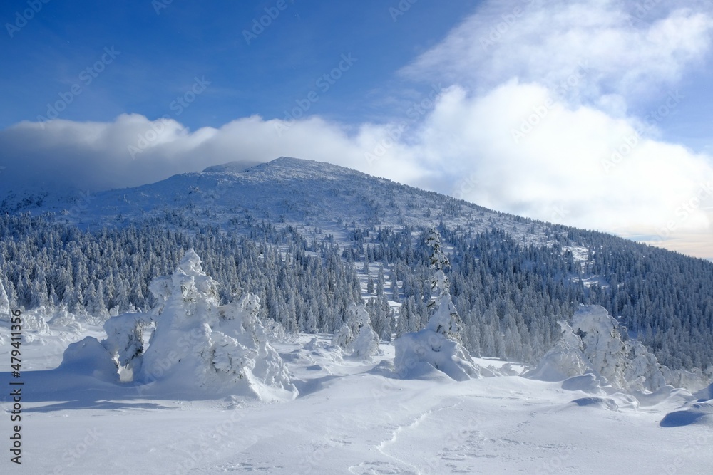 Obraz premium Mountain view around Brona Pass to Babia Gora Peak in winter sunny day. Diablak, Babiogorski National Park, Beskid Zywiecki, Poland