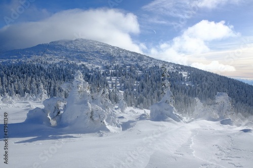 Mountain view around Brona Pass to Babia Gora Peak in winter sunny day. Diablak  Babiogorski National Park  Beskid Zywiecki  Poland