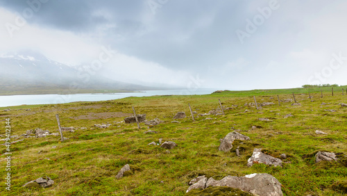 Stream in the Mountain