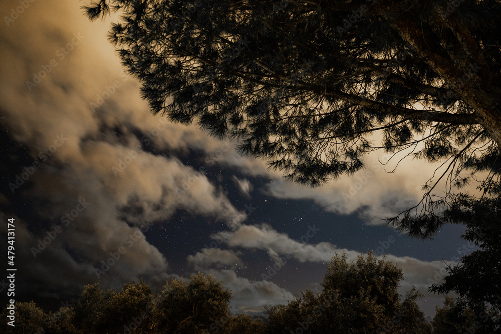 Fototapeta premium Secuencia de nubes en un cielo nocturno con arboles denprimer plano
