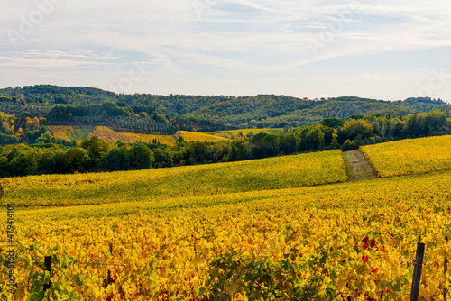 autumn in the Sienese Chianti