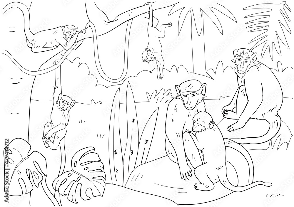Coloring book monkey theme 2 - eps 8 vector illustration.