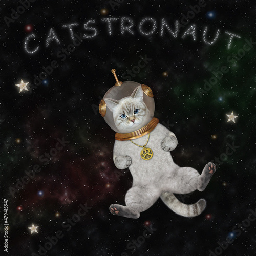 An ashen cat astronaut in a spacesuit floats in outer space among the stars. Catstronaut. photo