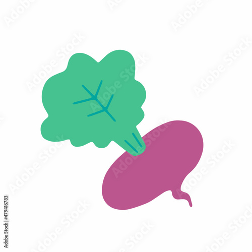 Beet isolated on white background. Flat cartoon vector illustration.