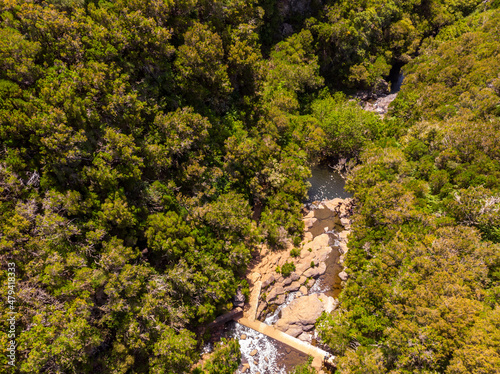 Drop down view of river runing through forest.