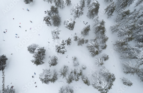 Drone aerial scenery of mountain snowy forest and people playing in snow. Wintertime season