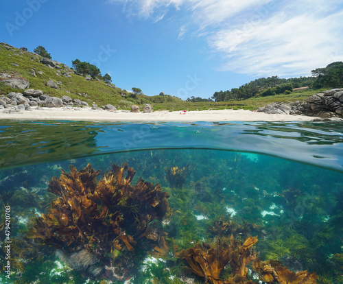 Beach coastline and algae underwater in the ocean, split level view over and under water surface, Spain, Galicia, Eastern Atlantic, Pontevedra province