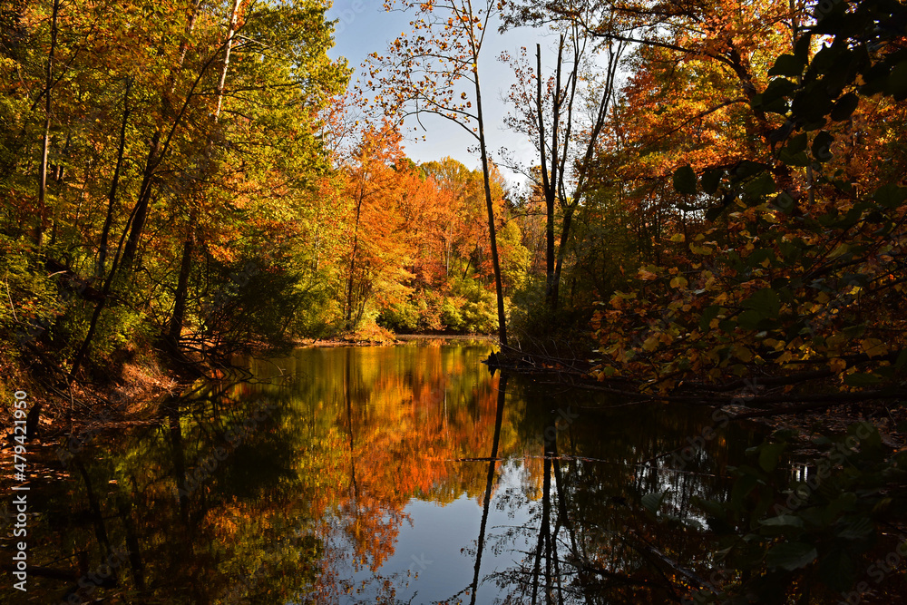 An autumn scene. Trees with leaves changing color are reflected in calm lake water. An autumn scene. Trees with leaves changing color are reflected in calm lake water.