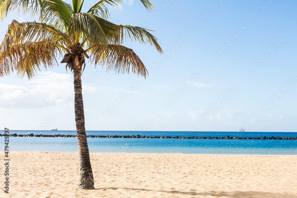 Fototapeta premium view on Teresitas beach near Santa Cruz de Tenerife on Canary islands, Spain.