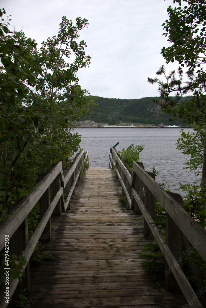 wooden bridge over lake