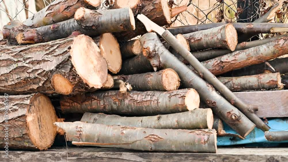 Log trunks pile, the logging timber forest wood industry. Wide banner or panorama of wood trunks timber harvesting in forest. Log trunks pile, the logging timber forest wood industry. Wide banner or panorama of wood trunks timber harvesting in forest.