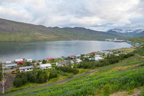 Town of Neskaupsstadur in Nordfjordur fjord in Iceland photo