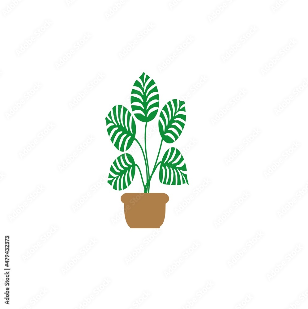 Fototapeta premium A green plant in a pot. Home decor, cozy plant, botanical leaves. An illustration of colorful greenery with doodles highlighted on a white background. It can be used for wall decoration, banners