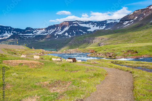 River Fjardara in Seydisfjordur fjord in Iceland photo