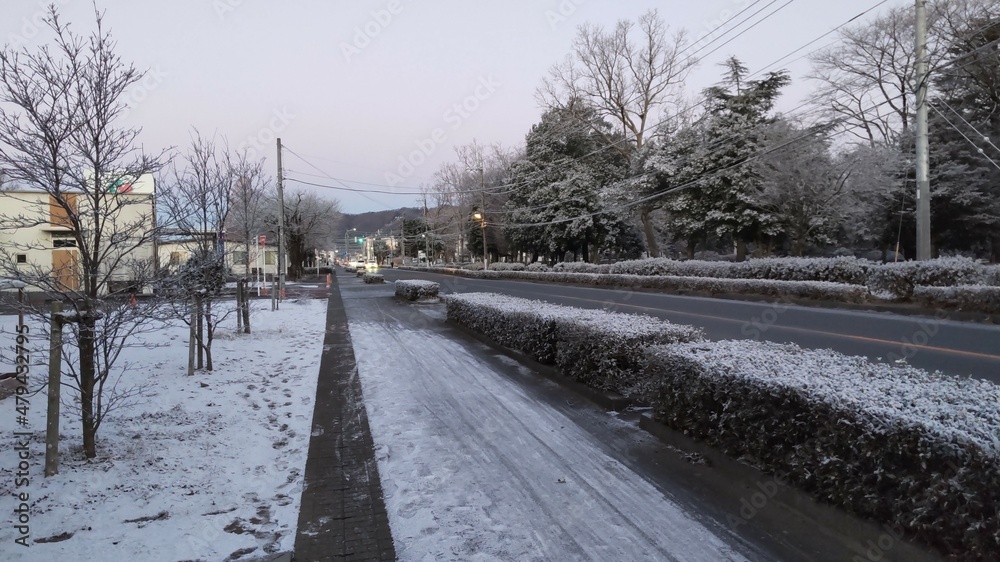 Obraz premium 雪の降った翌朝の道路