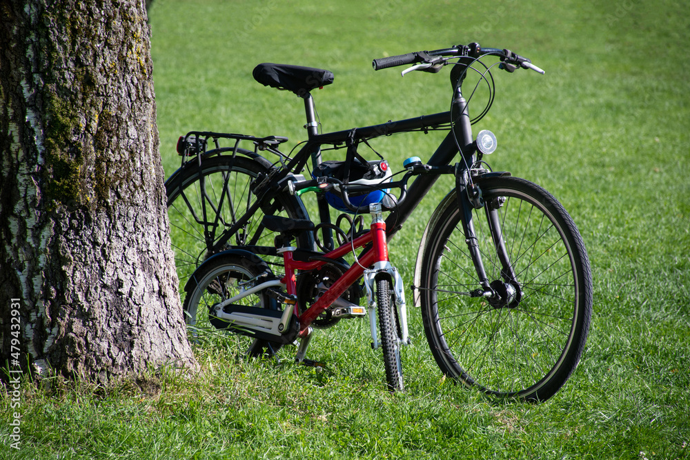 An adult-sized men's bike and small, red child-sized bike standing next to each other, and next to a tree trunk, in green grass in summer