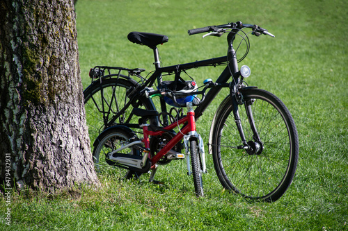 An adult-sized men's bike and small, red child-sized bike standing next to each other, and next to a tree trunk, in green grass in summer