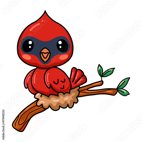 Cute baby cardinal bird cartoon on tree branch