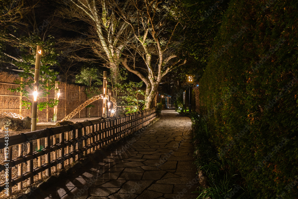 冬の夜にライトアップされた修善寺温泉街の遊歩道