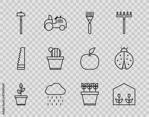 Set line Plant in pot, Home greenhouse and plants, Garden rake, Cloud with rain, Hammer, Cactus succulent, Plants and Ladybug icon. Vector