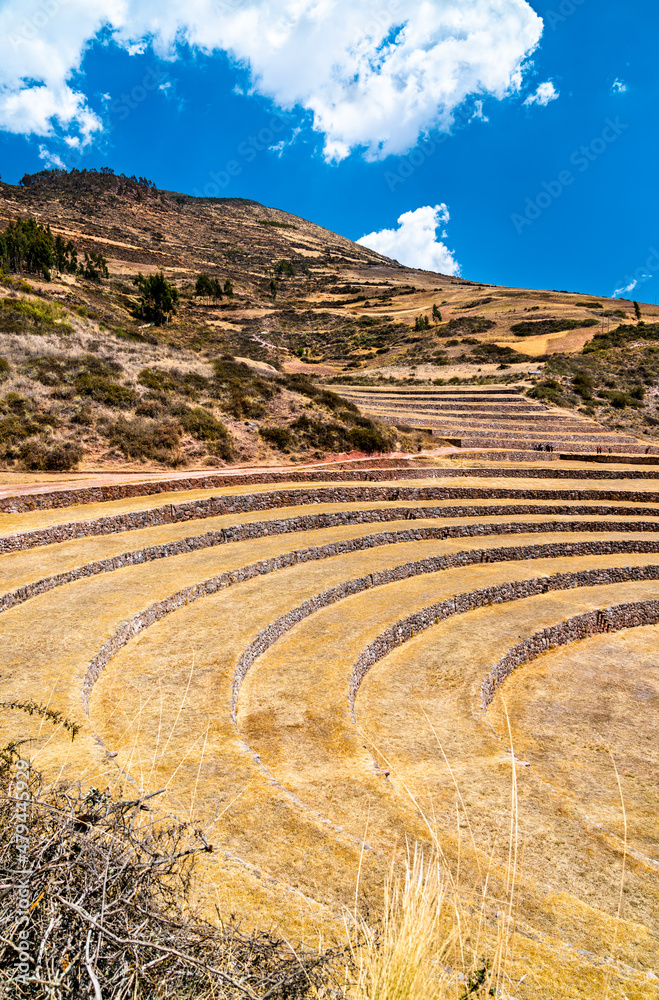Agricultural terraces at Moray in the Sacred Valley of Peru