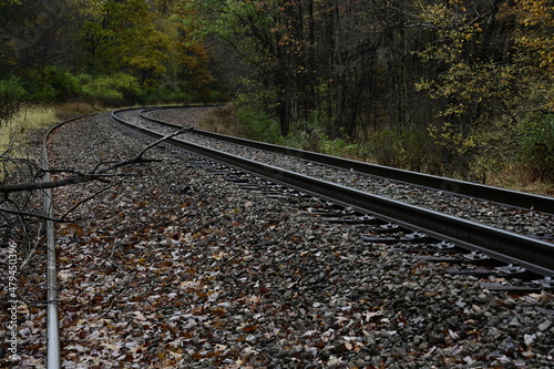 railroad tracks in the woods