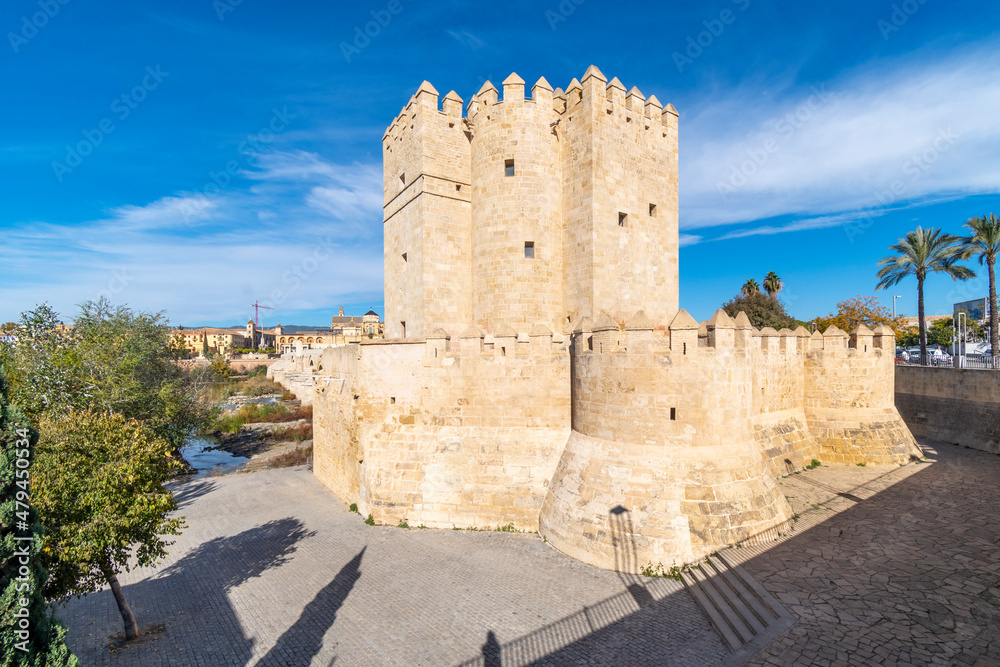 The Moorish Tower of Calahorra, the Roman Bridge and the Mezquita cathedral along the Guadalquivir River at Cordoba, Spain.