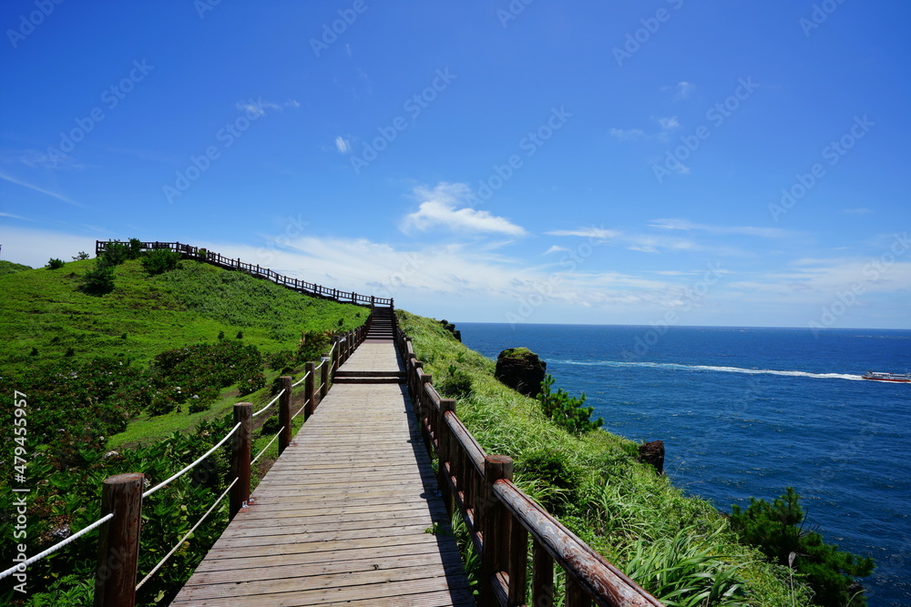 a fascinating seaside walkway and seascape