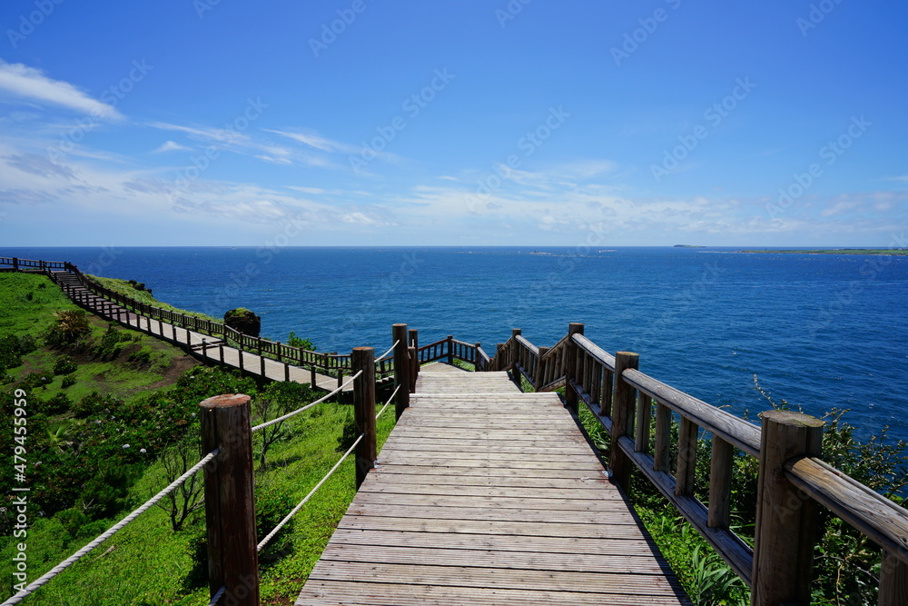 a fascinating seaside walkway and seascape