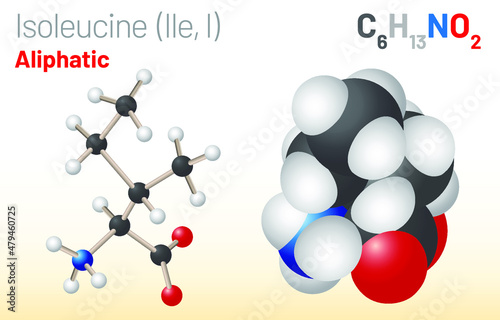 Isoleucine (Ile, I) amino acid molecule. (Chemical formula C6H13NO2) used in the biosynthesis of proteins. Ball-and-stick model, space-filling model and skeletal formula. Layered vector illustration photo