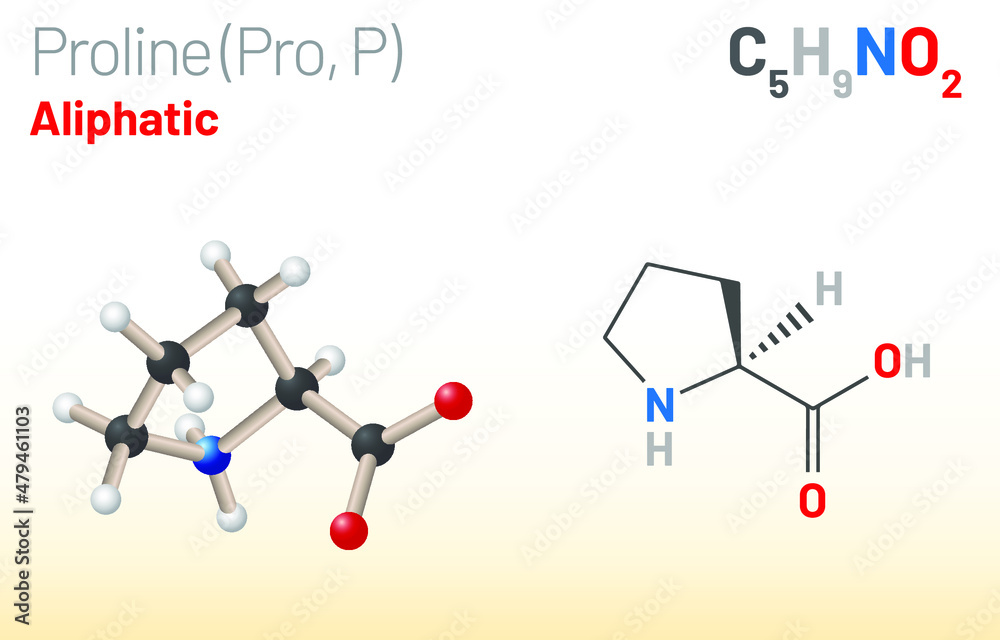 Proline (Pro, P) proteinogenic amino acid molecule. (Chemical formula ...