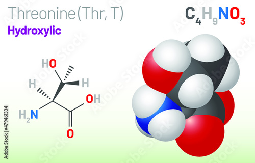 Threonine (Thr, T) amino acid molecule. (Chemical formula C4H9NO3) Ball-and-stick model, space-filling model and skeletal formula. Layered vector illustration photo