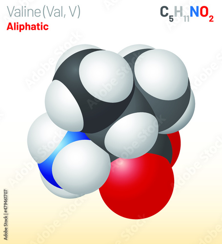 Valine (Val, L) amino acid molecule. (Chemical formula C5H11NO2) used in the biosynthesis of protein. Ball-and-stick model, space-filling model and skeletal formula. Layered vector illustration photo