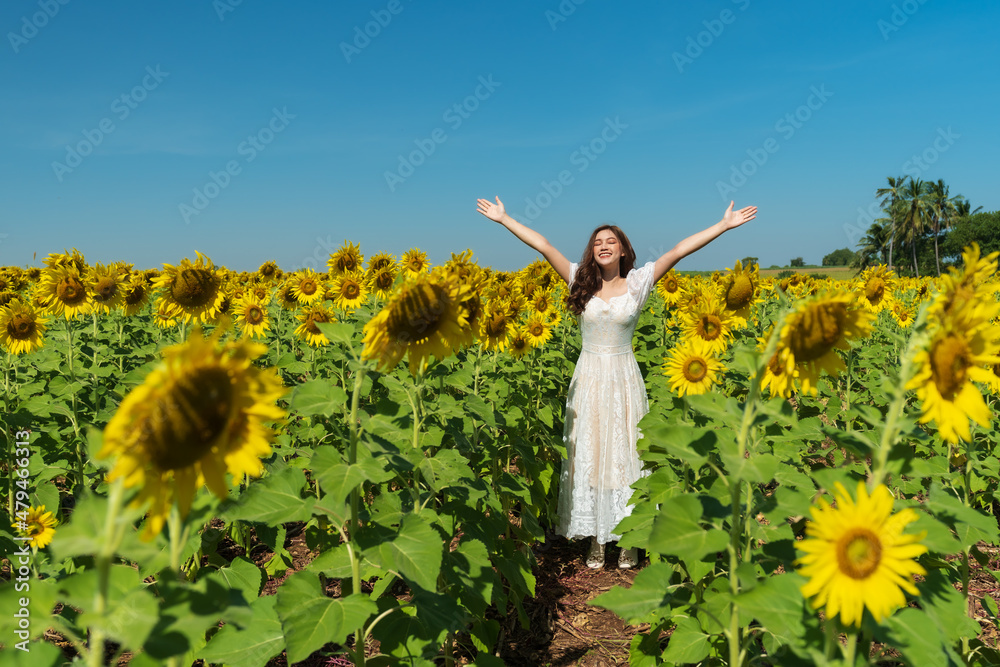 woman with arms raised and enjoying with sunflower field woman with arms raised and enjoying with sunflower field